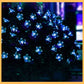 Guirlande Lumineuse Solaire - Fleur Bleue - Rando Expert